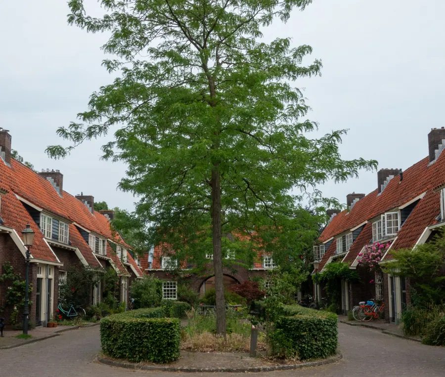 Een groen hofje in Amersfoort
