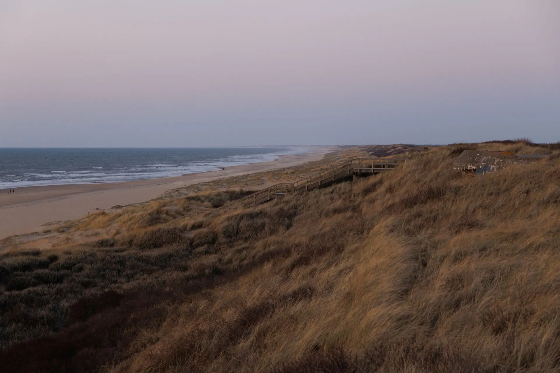 Duinen bij de kust van Den Haag in het avondlicht