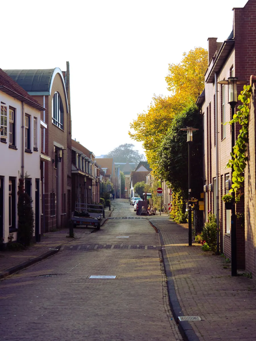 Rustige straat in Amersfoort met bakstenen huizen en herfstbomen